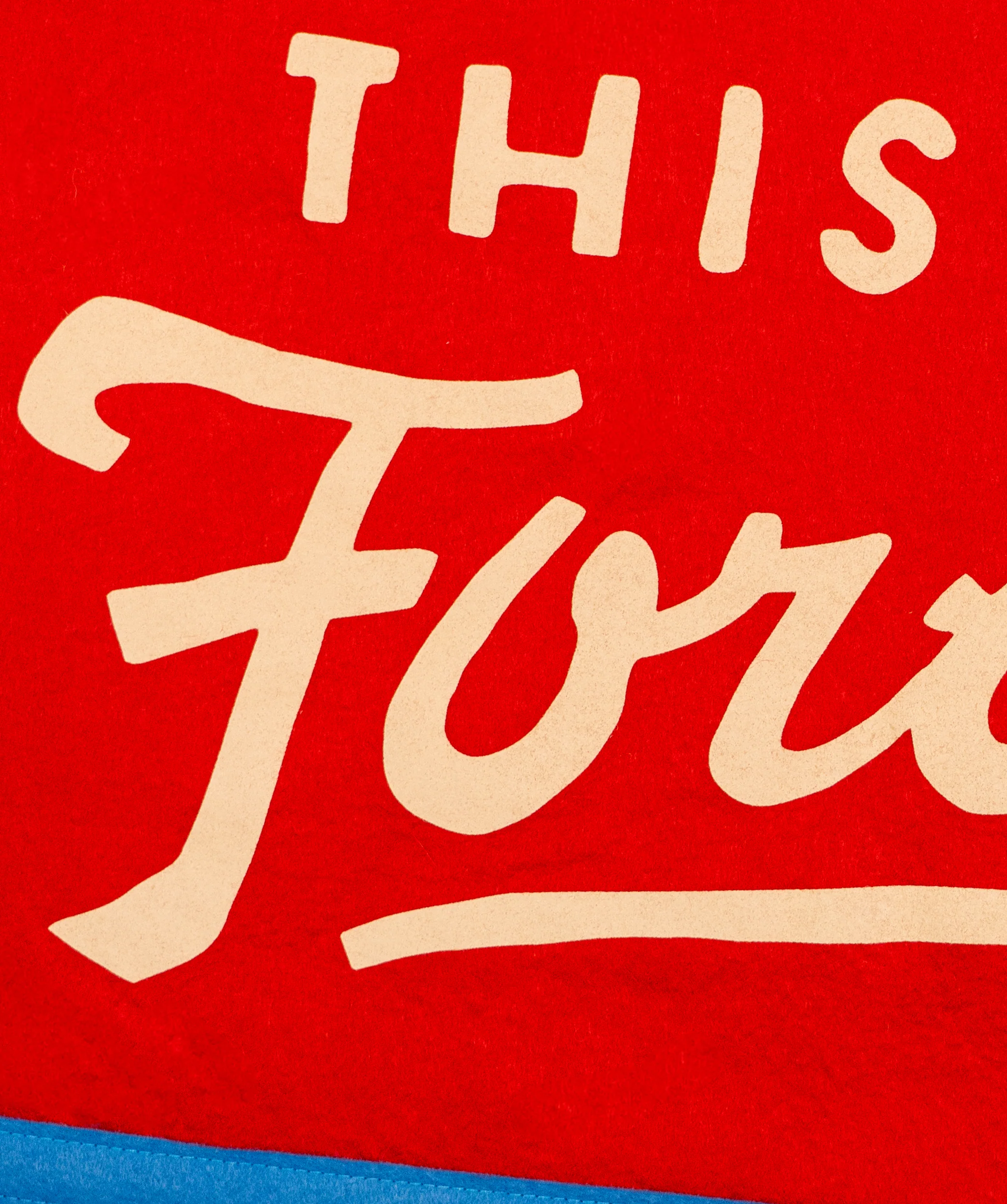Let's Make This Last Forever Camp Flag • blink-182 x Oxford Pennant - Image 4