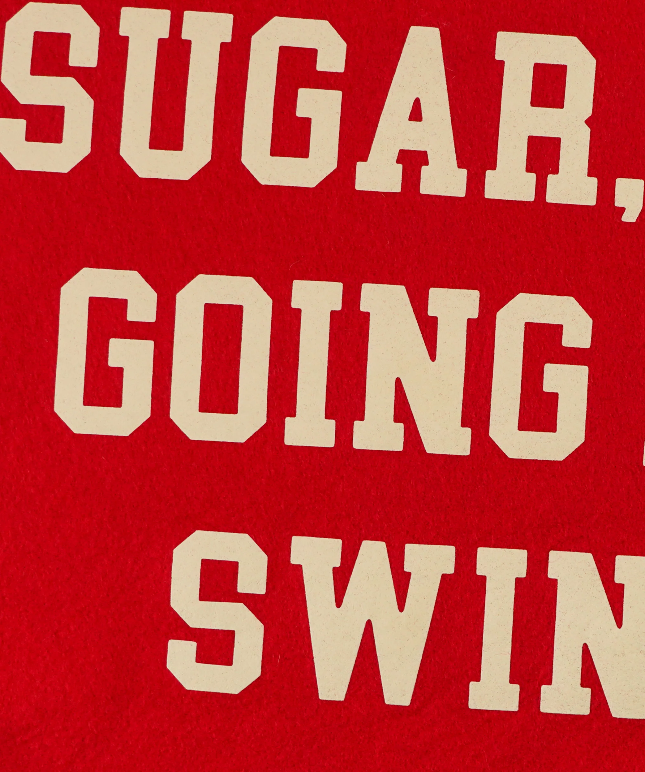 Sugar, We're Going Down Swingin' Camp Flag • Fall Out Boy x Oxford Pennant - Image 4