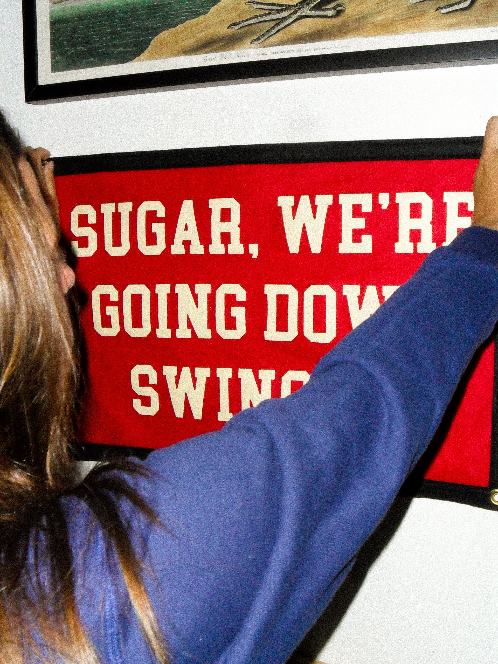 Sugar, We're Going Down Swingin' Camp Flag • Fall Out Boy x Oxford Pennant - Image 6