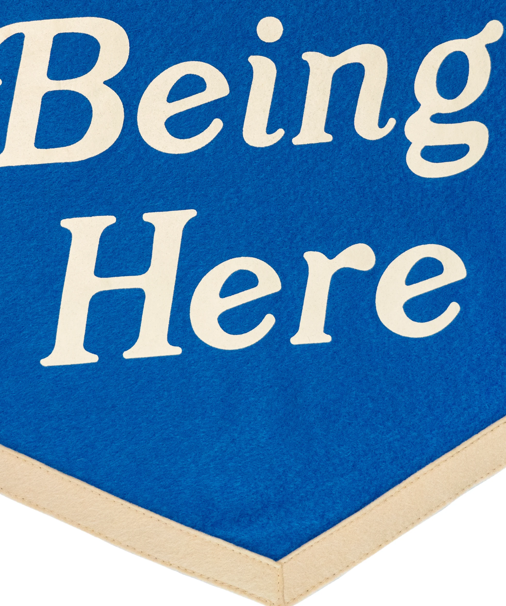Thank You For Being Here Camp Flag - Image 5
