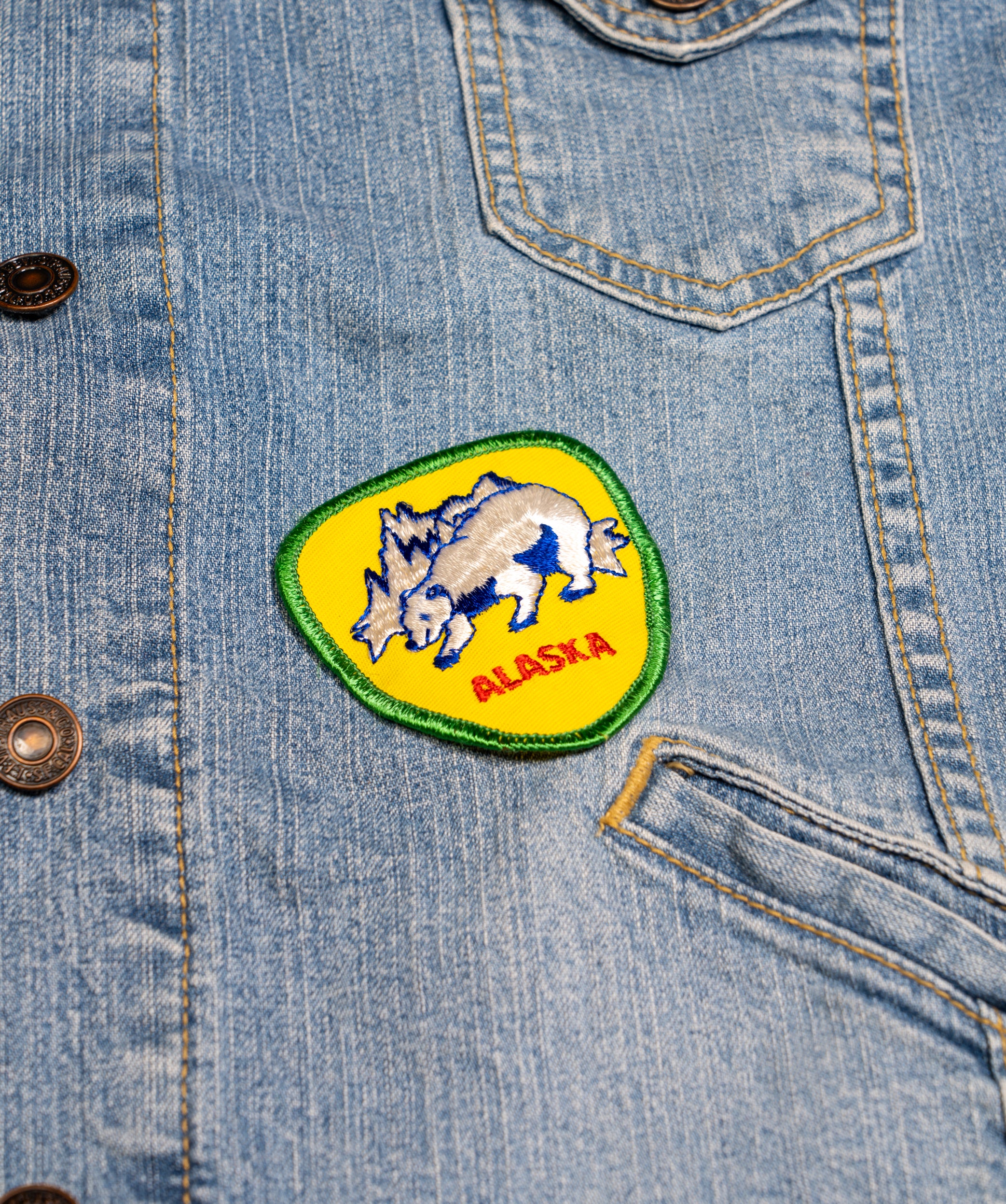 Vintage Alaska Embroidered Patch - Image 2