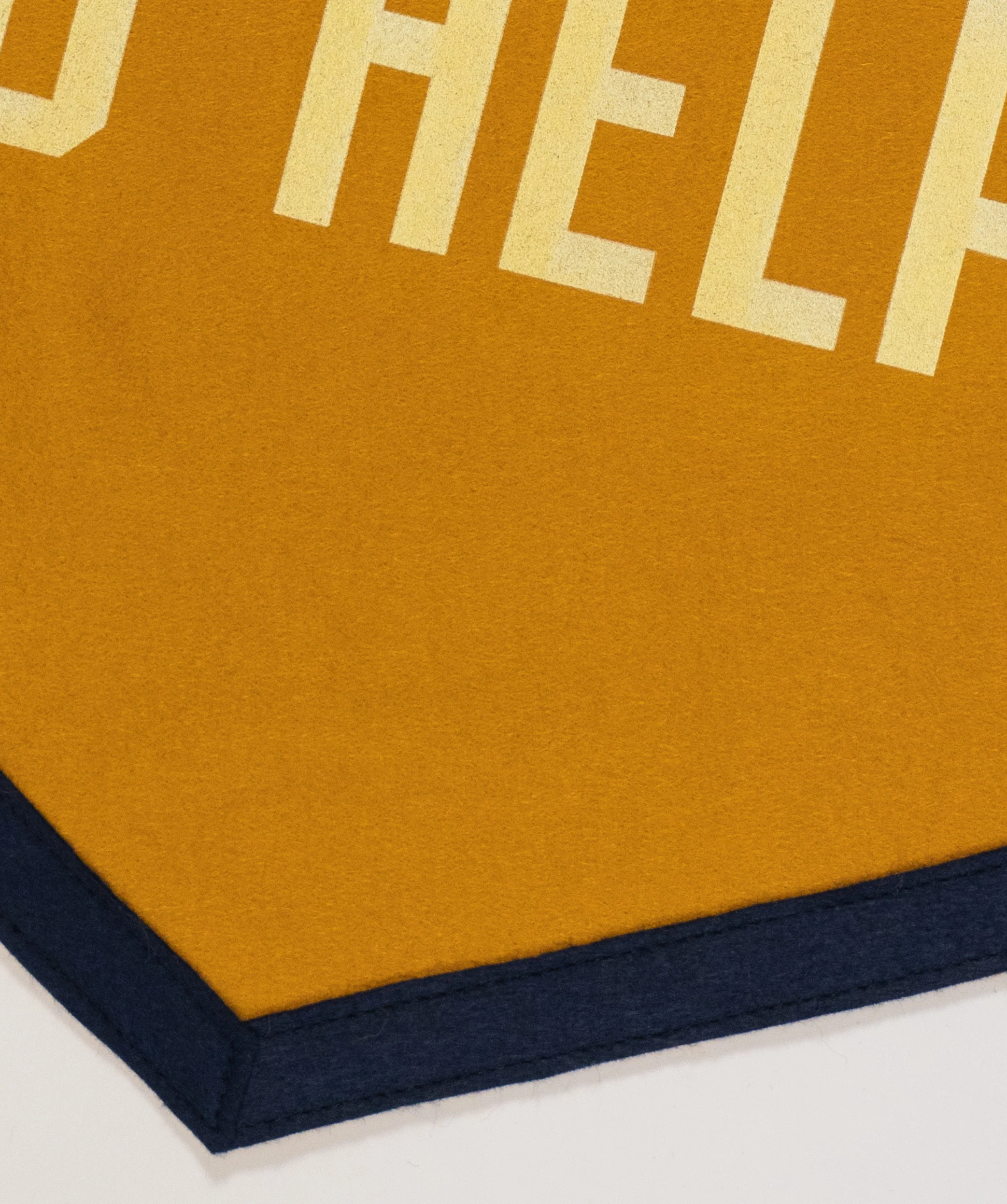 What've I Done To Help Camp Flag • Jason Isbell x Oxford Pennant - Image 4