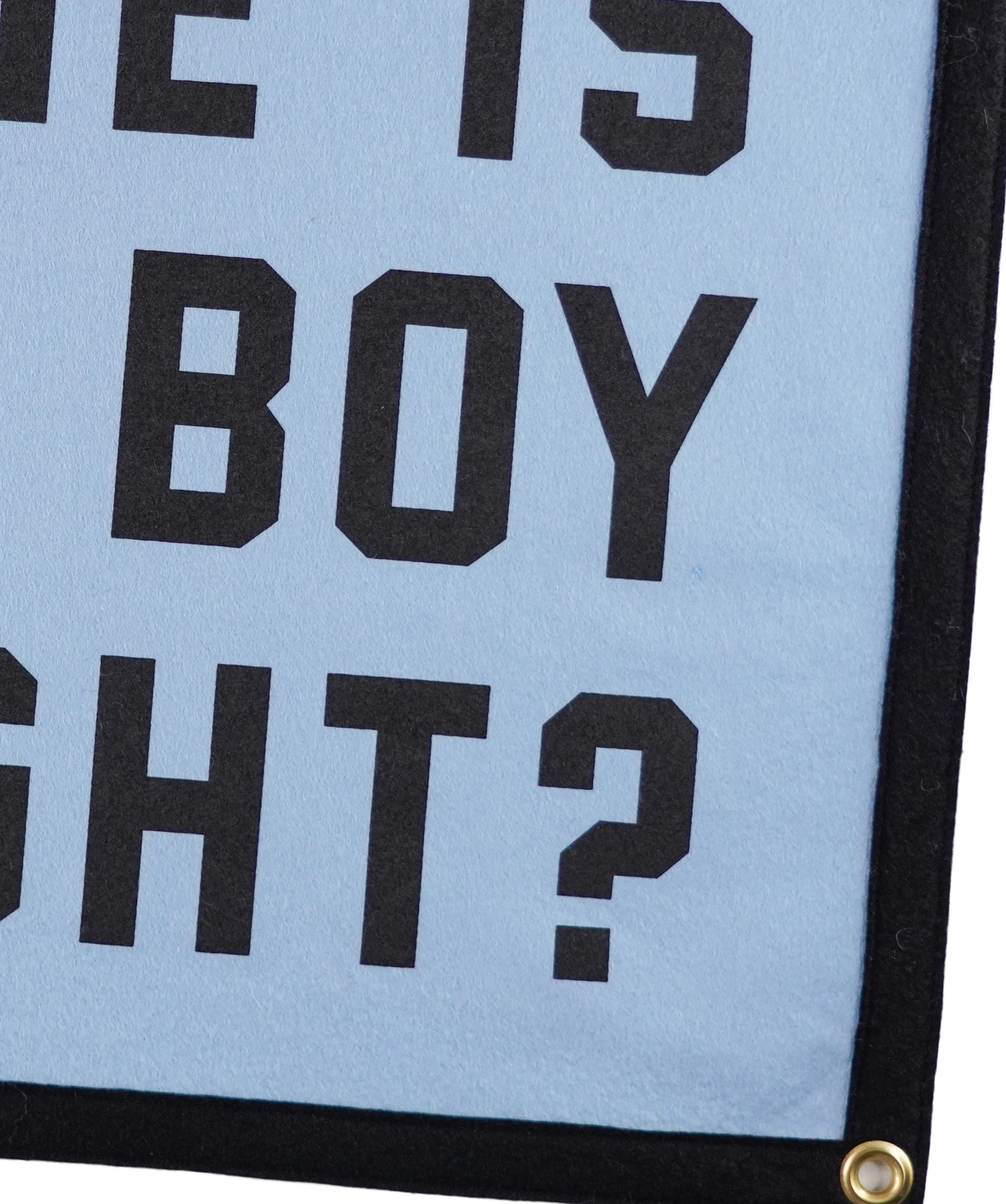 Where Is Your Boy Tonight? Camp Flag • Fall Out Boy x Oxford Pennant - Image 3
